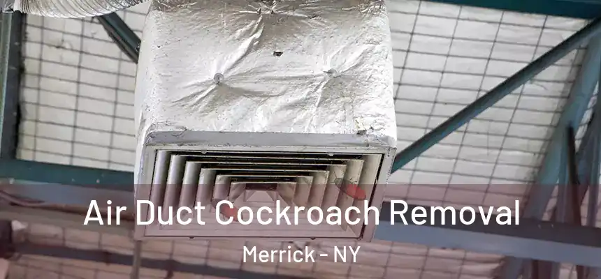  Air Duct Cockroach Removal Merrick - NY