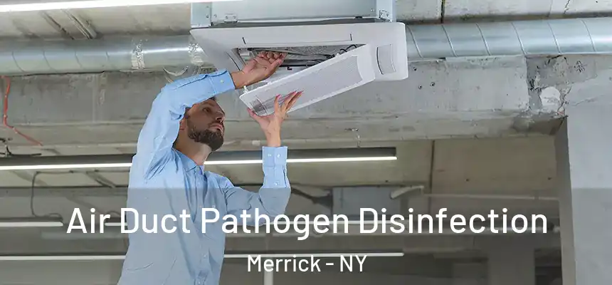  Air Duct Pathogen Disinfection Merrick - NY