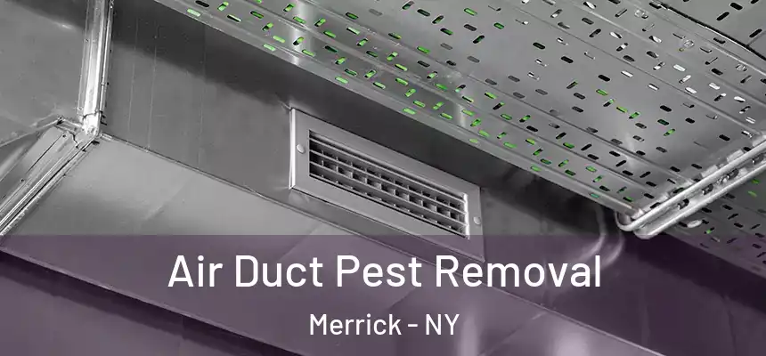 Air Duct Pest Removal Merrick - NY