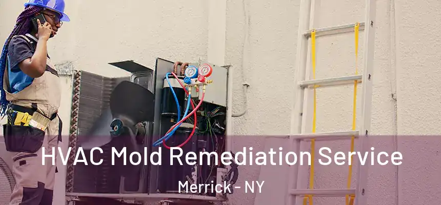  HVAC Mold Remediation Service Merrick - NY