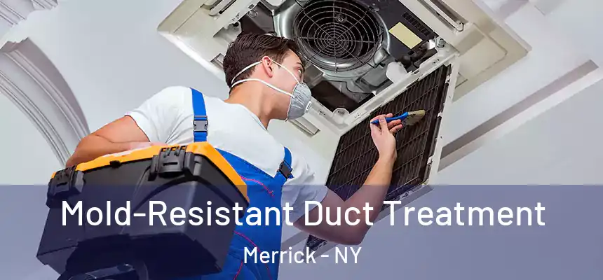  Mold-Resistant Duct Treatment Merrick - NY