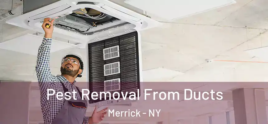  Pest Removal From Ducts Merrick - NY