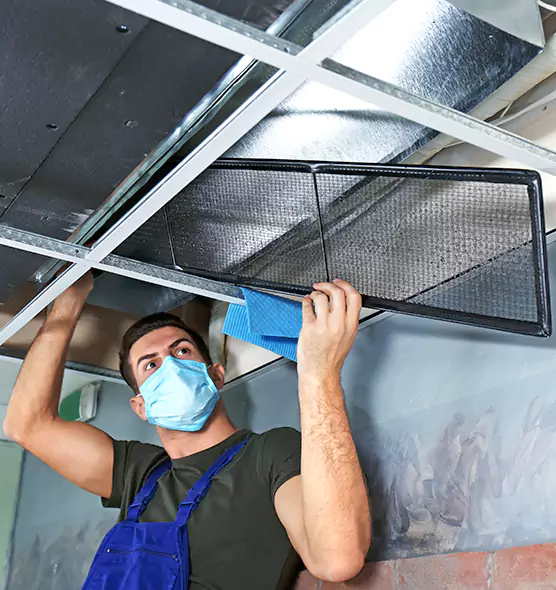 About Air Duct Bacteria Removal in Merrick