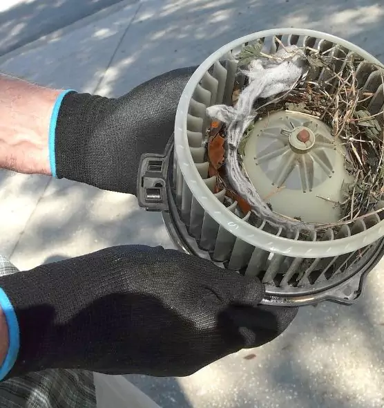 About Air Duct Rat Removal in Merrick, NY