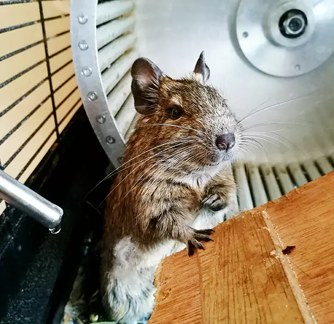 Why Homeowners & Businesses Trust Us Merrick, NY?