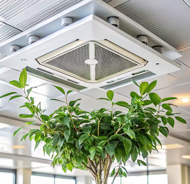 Why Homeowners & Businesses Trust Us in Merrick, NY?