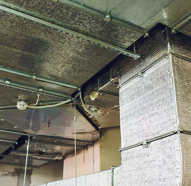 Why Homeowners & Businesses Trust Us in Merrick, NY?